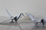 快来了解一下千纸鹤的折法！