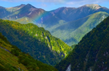 探秘辰山植物园：自然与美的交织之地