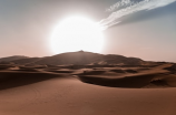 探秘神奇的沙漠骆驼
